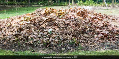 How To Manage Garden Wastes?-Urban Plants
