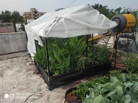 Designing an Efficient Micro Polyhouse Garden Layout for Urban Farming-Urban Plants