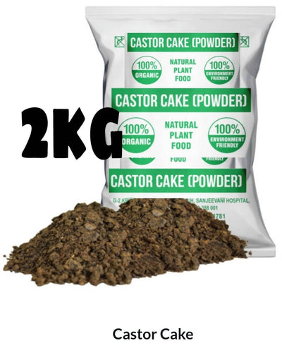 Fesal Shekh 🇮🇳 on LinkedIn: Castor Cake for your garden......!