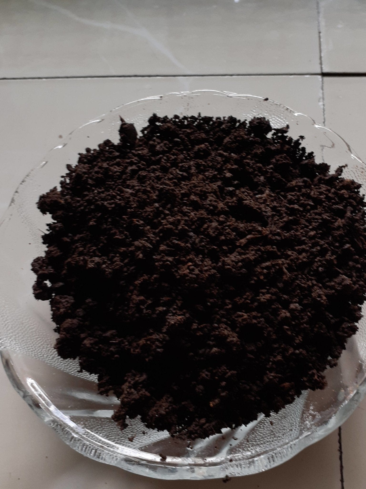 Vermi-Cake Update - Red Worm Composting