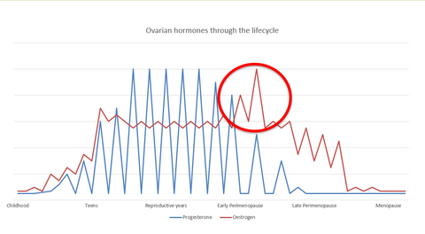 Ovarian hormones throughout lifetime