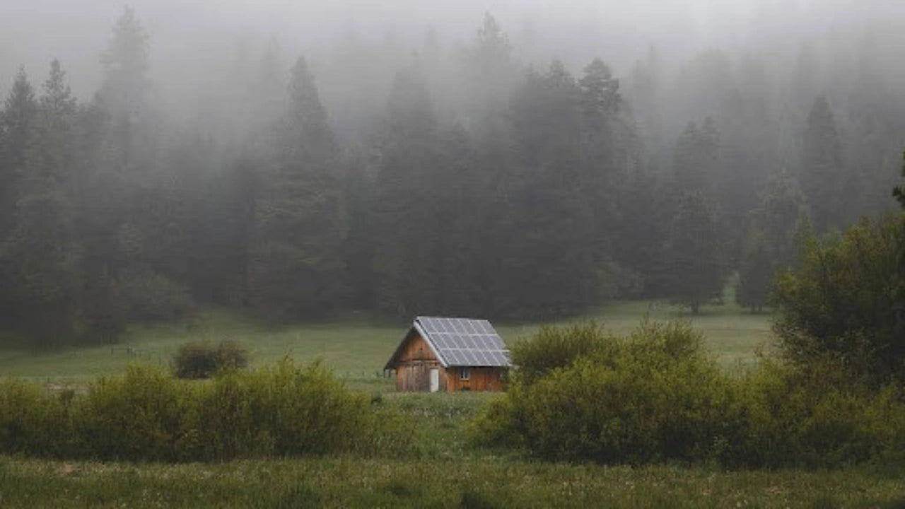 How to Survive Living Off the Grid
