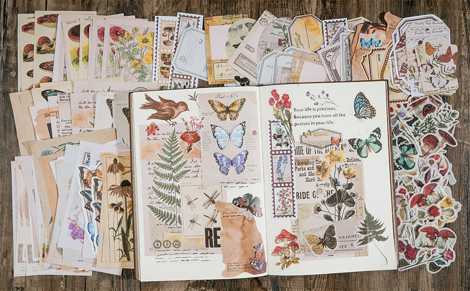 A Nature Art Journal in Southwest Florida: My portable art kit