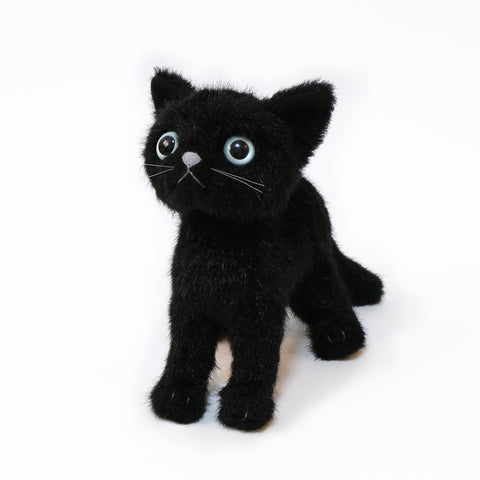 A skinny body with fluffy downy hair and big eyeballs. There is no doubt that once you stare at it, you will never be able to take it off again. It is a kitten with black hair and blue eyes.