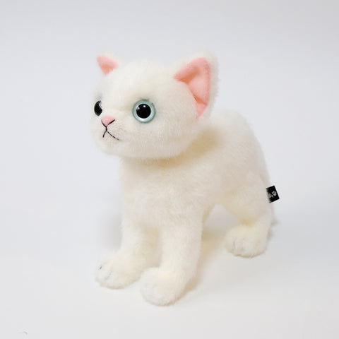 A skinny body with fluffy downy hair and big eyeballs. A white-haired kitten with blue eyes.