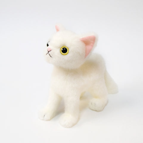 A skinny body with fluffy downy hair and big eyeballs. Kitten with white fur and yellow eyes.