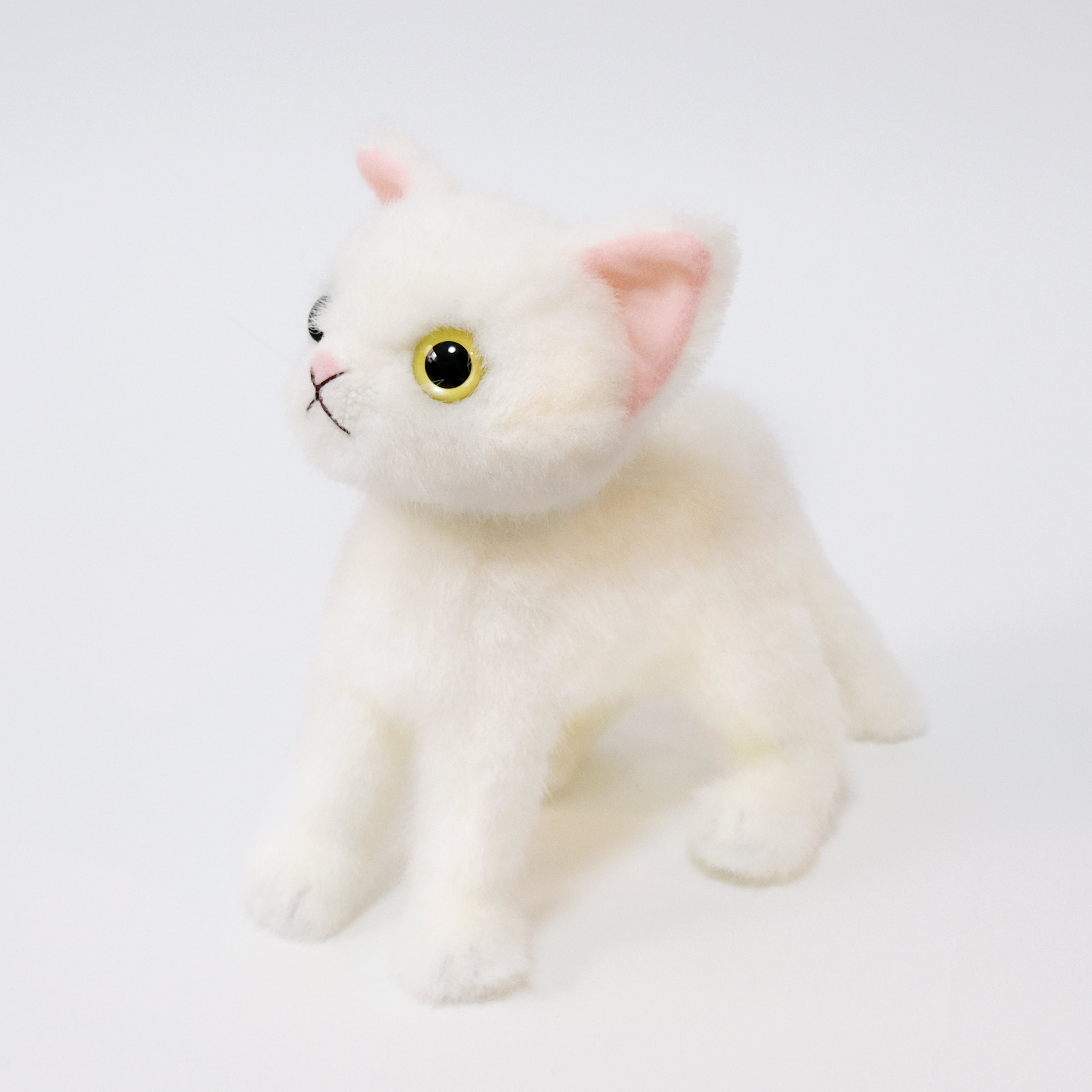 金之助 Kinnosuke 猫のぬいぐるみ – Cuddly公式オンラインショップ