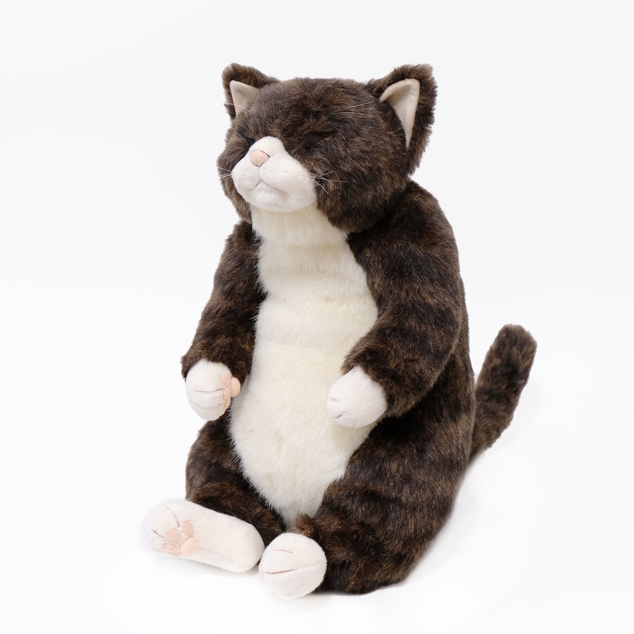 ソメゴロー Somegoro 猫のぬいぐるみ – Cuddly公式オンラインショップ