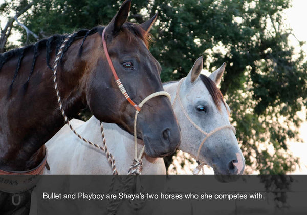 breakaway roping image shaya biever horses bullet and playboy