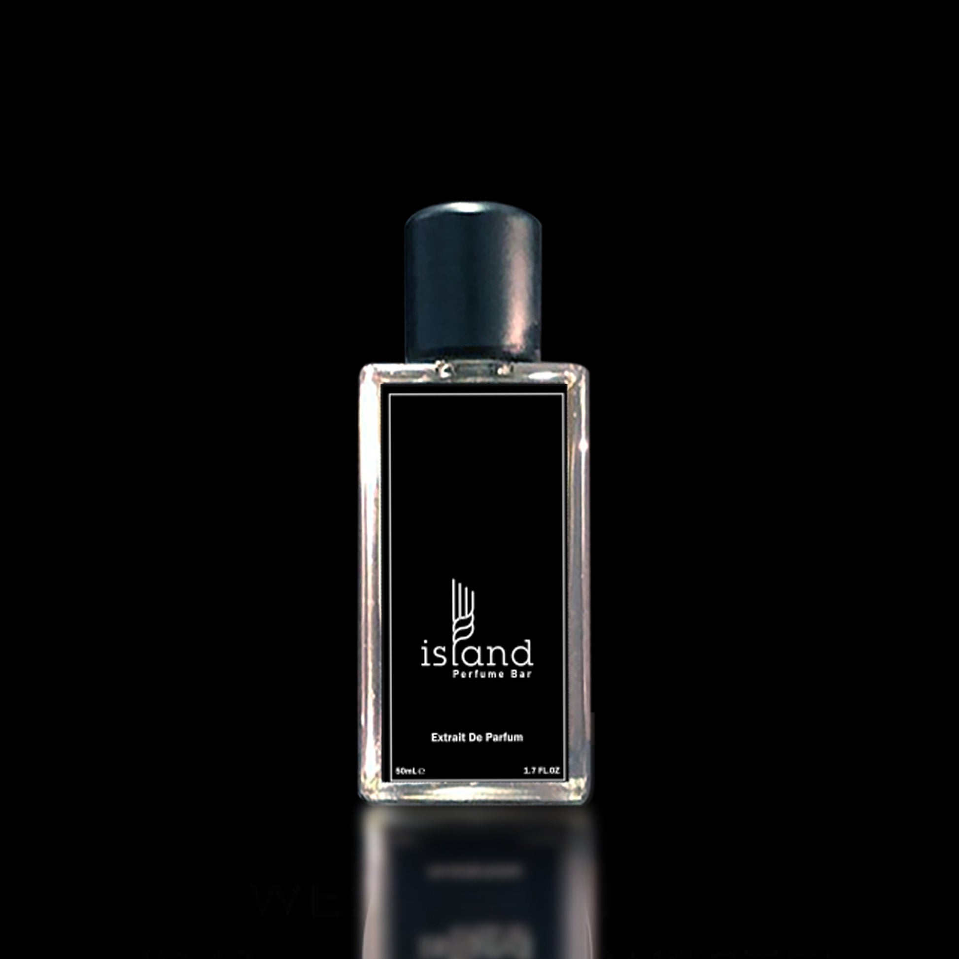 Black Orchid Tom Ford For Women – Island Perfume Bar