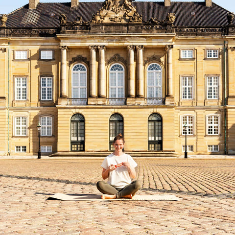 Rawbite_Amalienborg