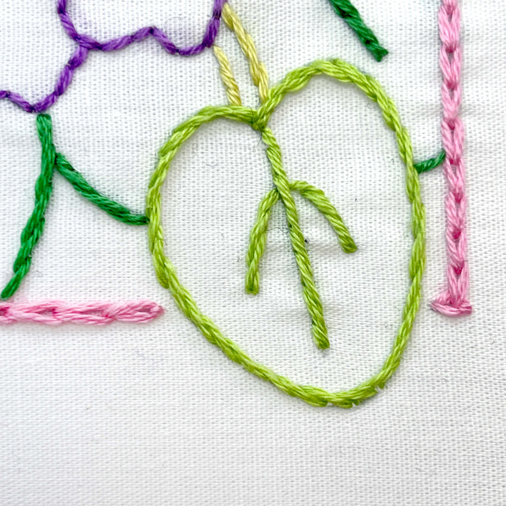 Close up of a violet leaf in light green.