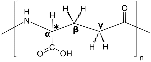 The Science Behind Polyglutamic Acid