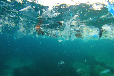 Plastic in the sea
