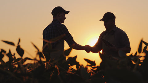 Dois agricultores apertam as mãos no campo ao pôr do sol