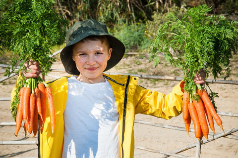 Junge erntet glücklich die Karotten, die sie als Familie gemeinsam im Schreber- und Kleingarten gepflanzt hatten.