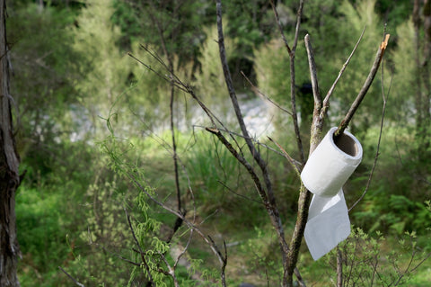 Half-empty roll of toilet paper hangs on a branch in the forest
