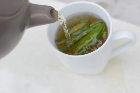 Tasse avec feuille de thé du Labrador qui infusent.