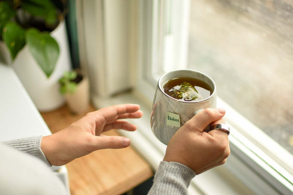 Tisane pour système immunitaire