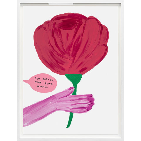 David Shrigley, rose, limited edition, I'm Sorry For Being Awful