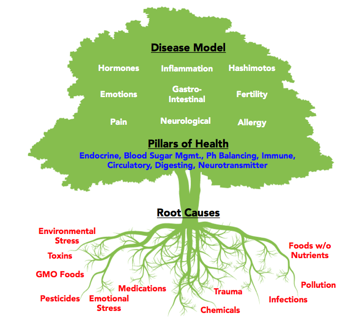 total gut health