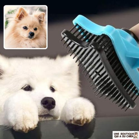 brosse-pour-chien-poils-longs-sptiz