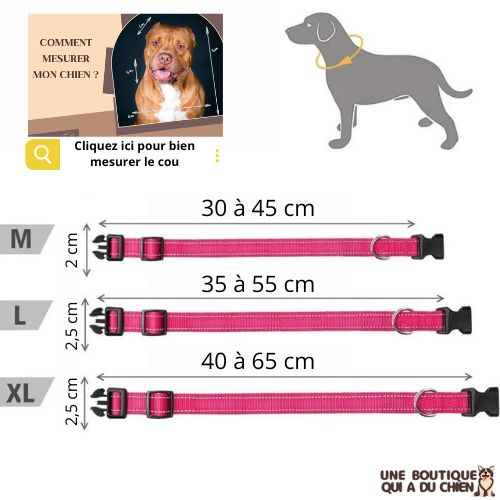 collier-chien-réfléchissant-guide-des-tailles