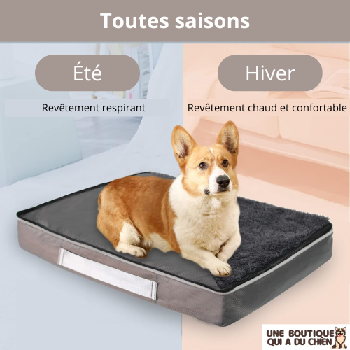 coussin-pour-chien-hiver-été