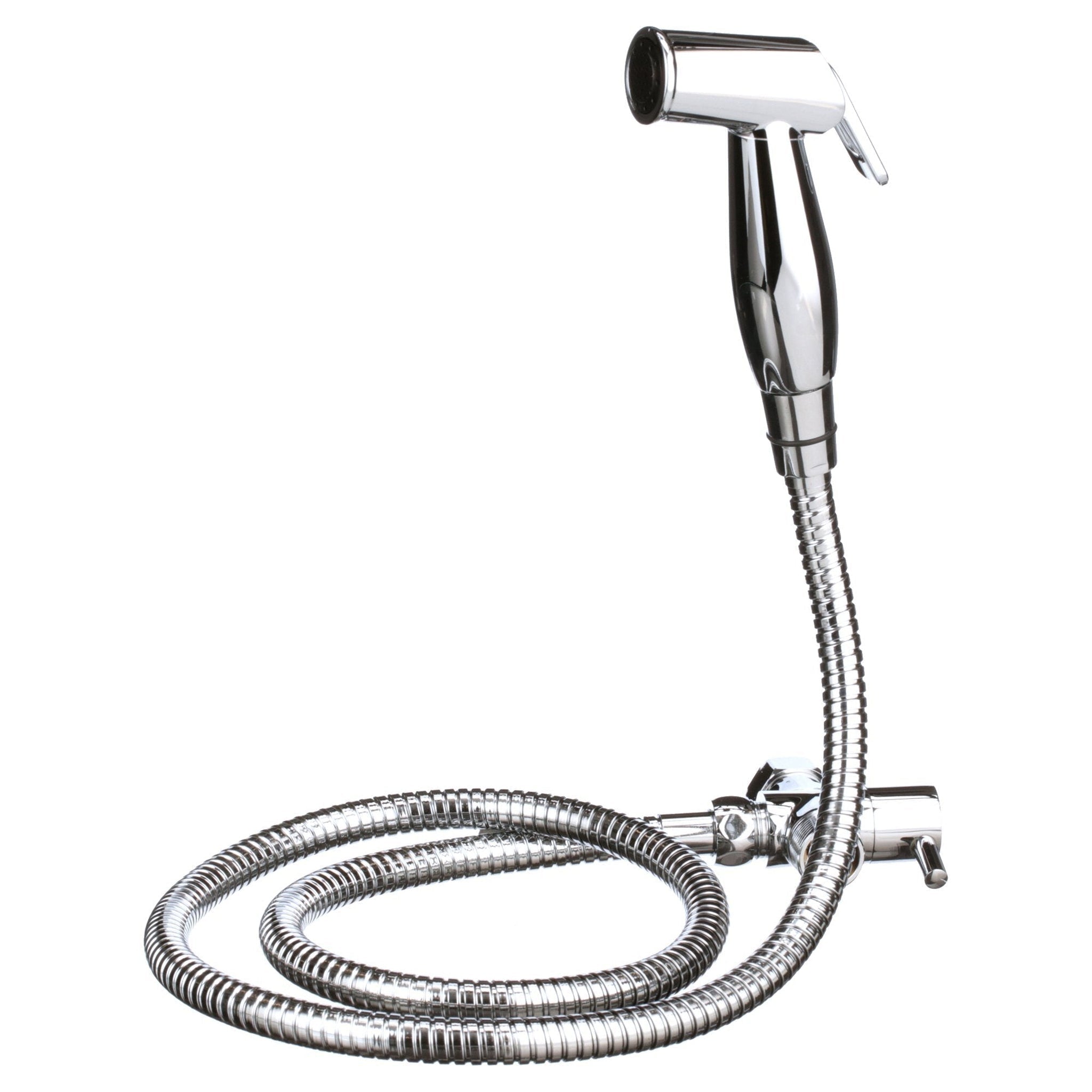 https://cdn.shopify.com/s/files/1/0555/9527/0317/products/Aim-to-Wash-Chrome-Series-Non-Electric-Dual-Spray-Handheld-Bidet-Sprayer.jpg?v=1646544824