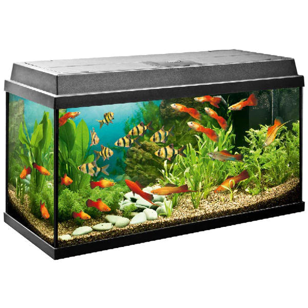 Ja Zegevieren Wanten Juwel Primo 110 LED Aquarium - Wharf Aquatics