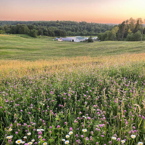 Turtle Creek Farm