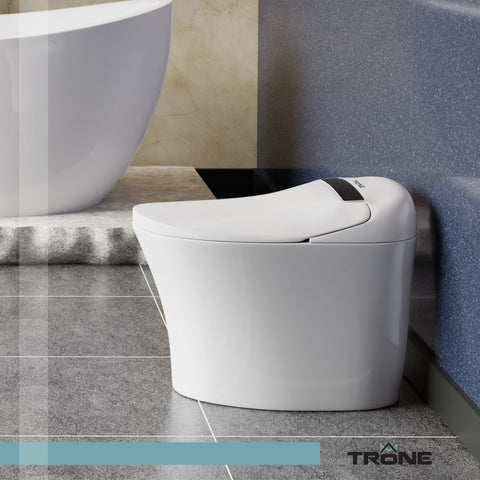 Photo of a Trone toilet.