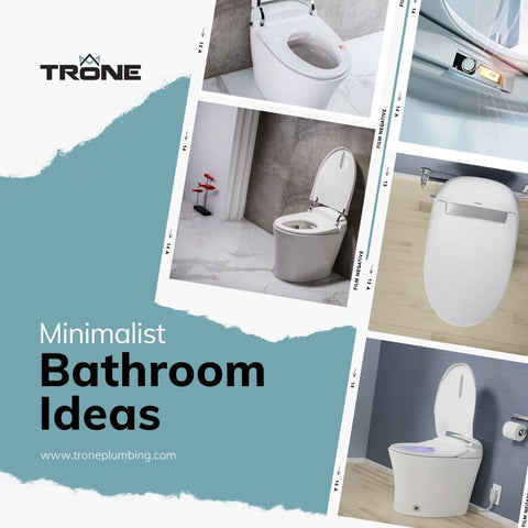 Image of a Trone bidet toilet.