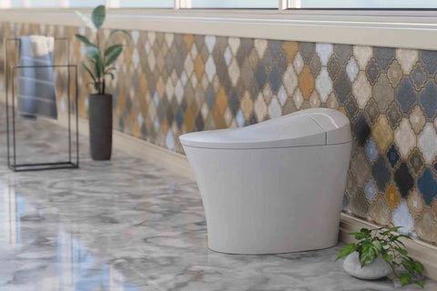 An image of a modern-vintage fusion bathroom featuring Trone Fountina Toilet.