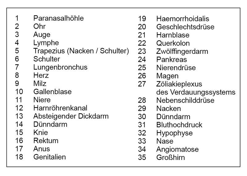 TheraPunktur Magnetische Akupunktur Einlegesohlen Vorteile