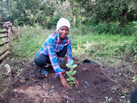 Vrouw plant een boom in Makombeh