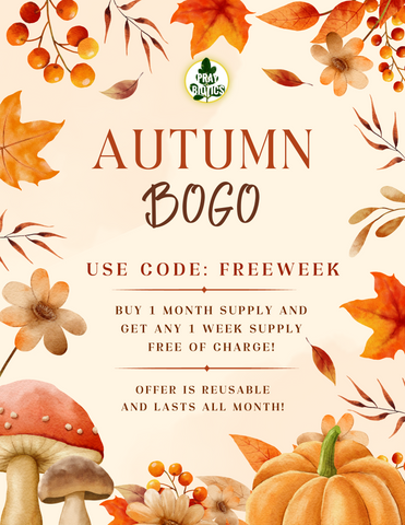 Autumn Buy One Get One Free Deal