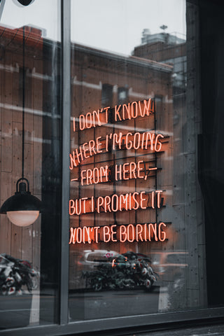 Neon Sign: "I don't know where I'm going from here but I promise it won't be boring"