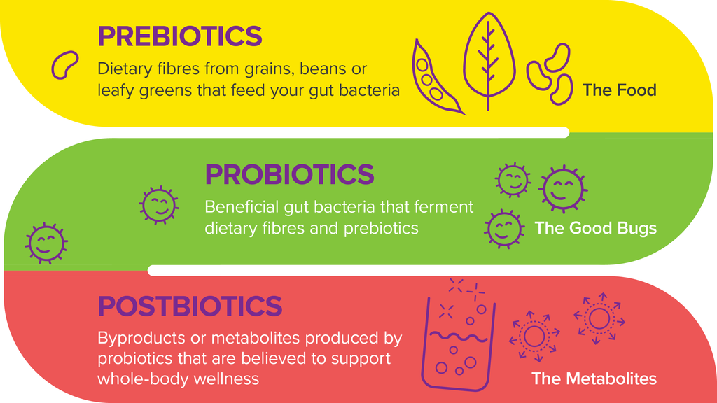 Prebiotics, Probiotics, Postbiotics Inforgraphic