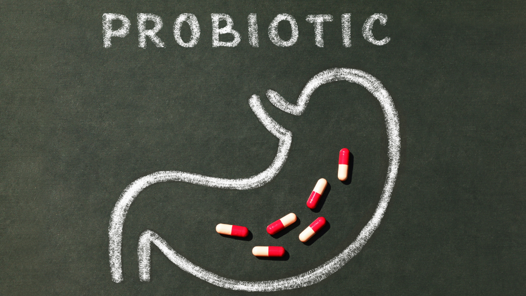 Probiotic in stomach