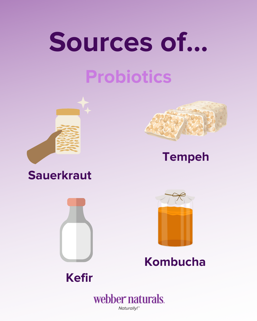 Sources of Probiotics