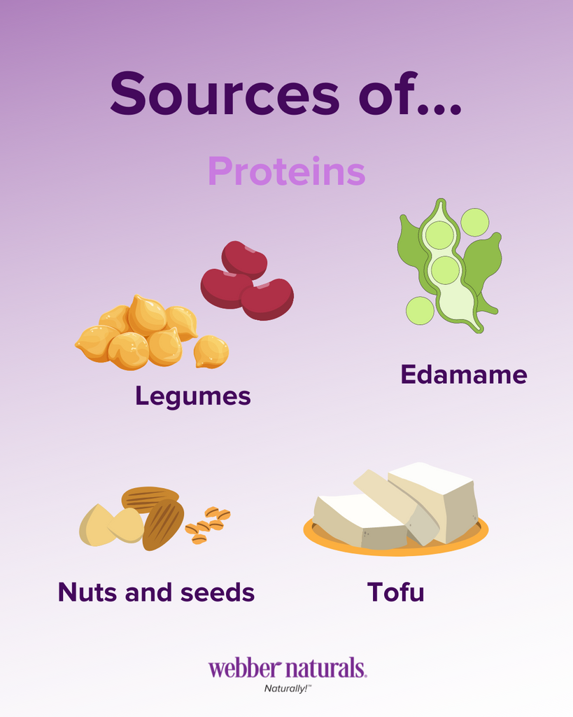 Source of Proteins
