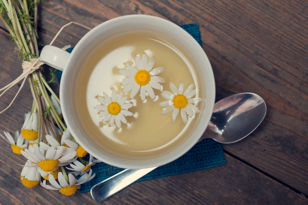 Herbs for sleep – chamomile tea