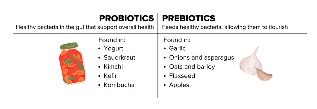 Probiotic and Prebiotic Foods