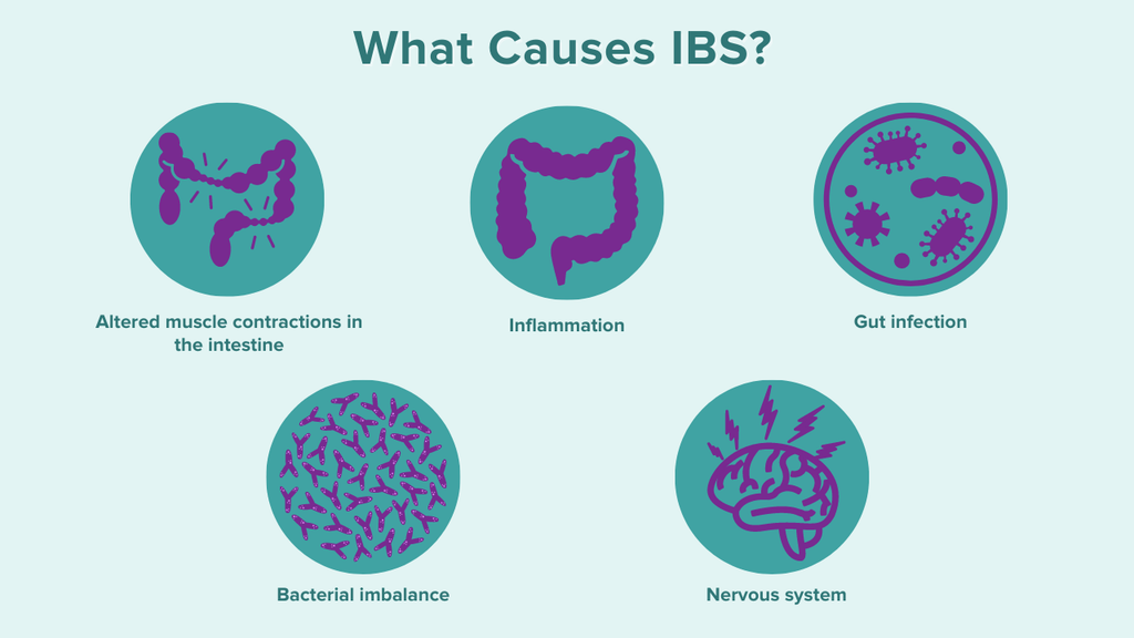 What Causes IBS?