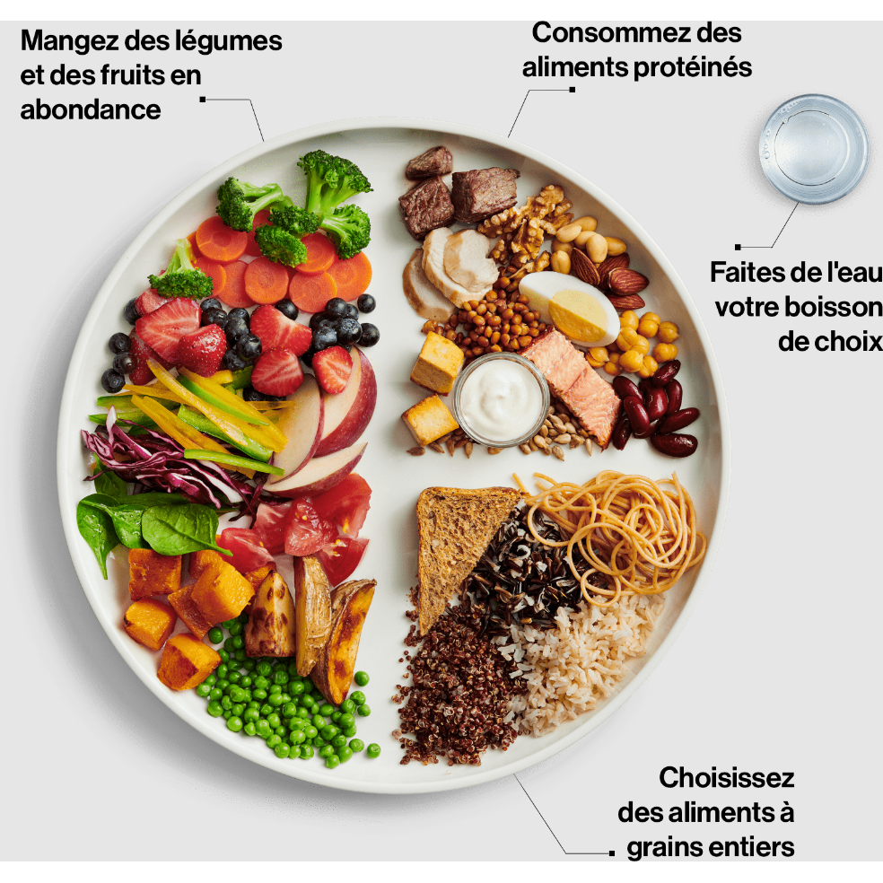 Canada Food Guide French