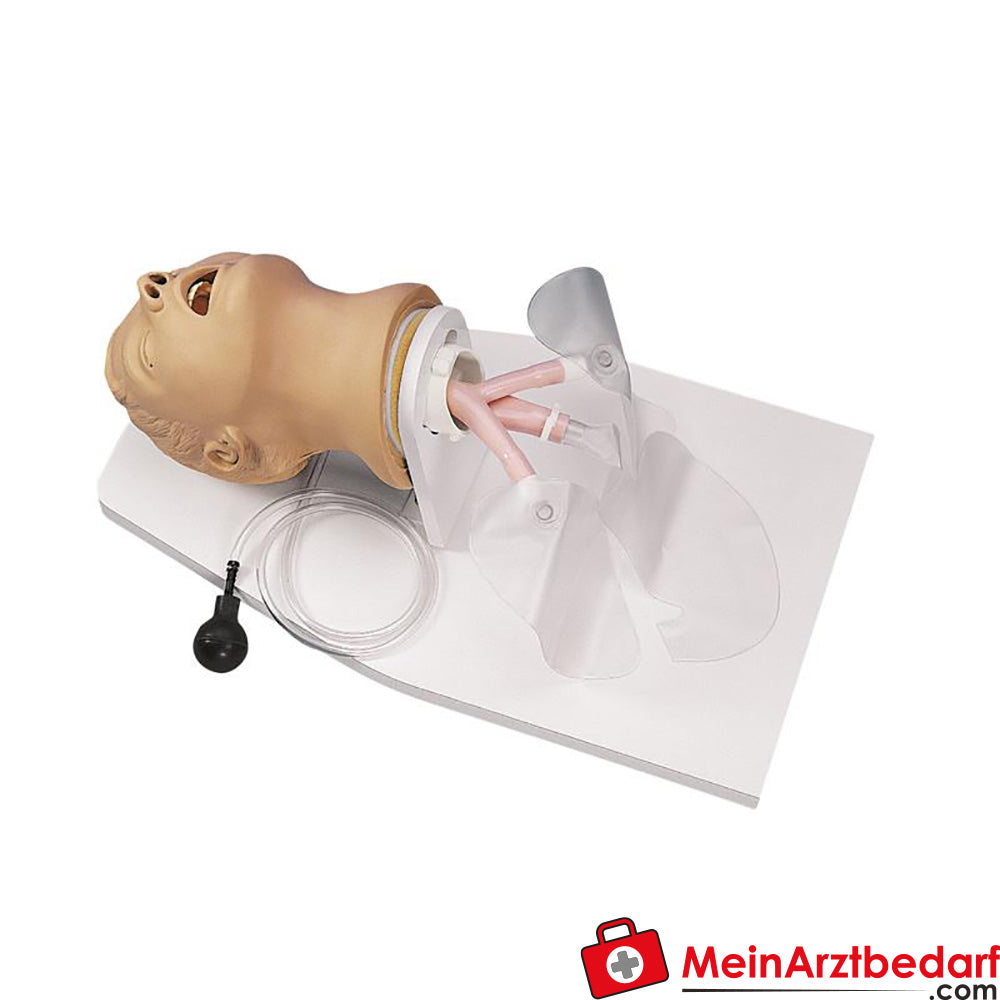 Erler Zimmer Zubehör für Intubationstrainer Erwachsener - MeinArztbedarf product image