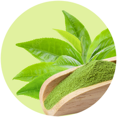 Green Tea Extract