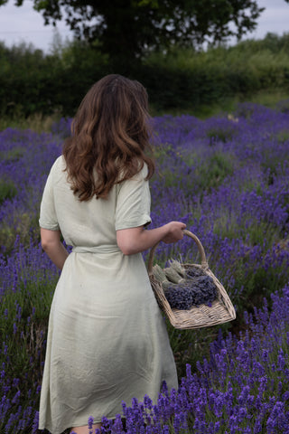 Bea a brunette female walks through a vibrant lavender field with a rustic basket full of sprigs of lavender.