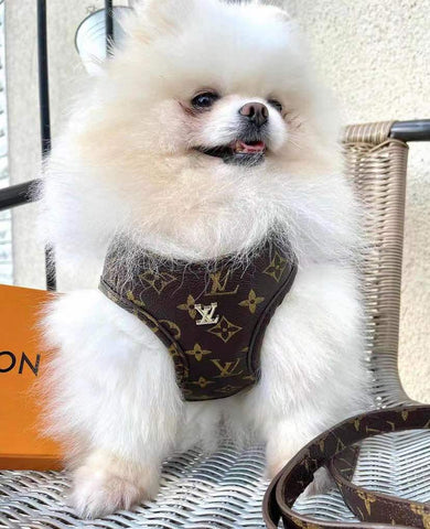 Louis Vuitton Dog Collar and Leash with Metal LV Accessory